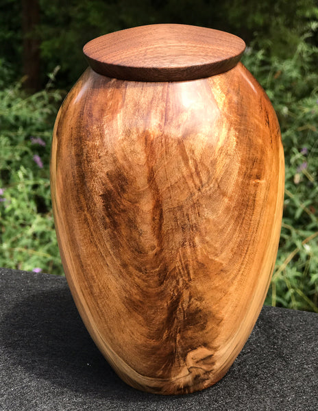 Figured Red Maple Urn with Walnut Top